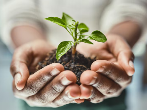 Activité PRAEMIUM 1 Activité PRAEMIUM 1